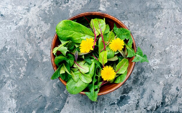 Lente paardebloem salade