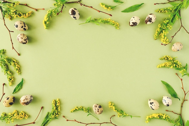 Lente pasen bloemen frame. natuurlijke boomtakken, gele bloemen en kwarteleitjes op groene achtergrond met kopie ruimte.