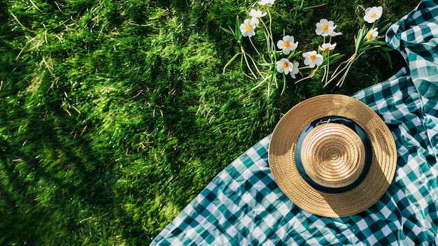 Lente picknick op het gazon.