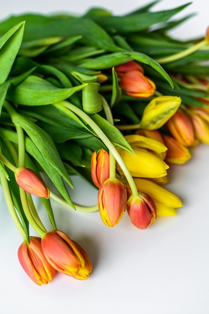 Lente - poster met vrije tekstruimte. gele, oranje en rode tulpen. Witte achtergrond. Bovenaanzicht