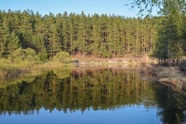 Lente rivier in de nationale park Meshersky Ryazan regio