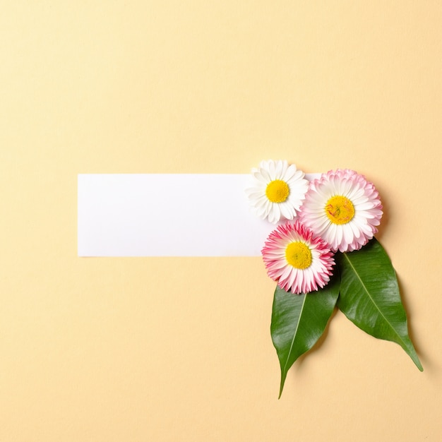 Lente samenstelling gemaakt met kleurrijke bloemen met groene bladeren en blanco papier label op pastel gele achtergrond.