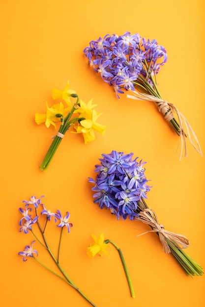 Lente sneeuwklokje bloemen bluebells narcissus op oranje pastel achtergrond bovenaanzicht close-up