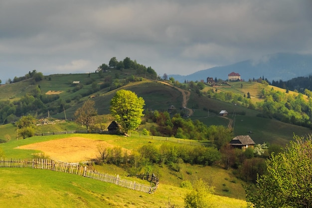 Lente sombere bewolkte ochtend landelijk landschap in de karpaten van mizhhiria