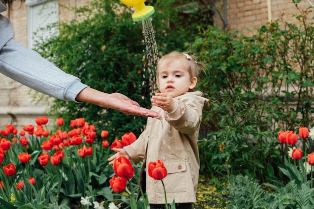 Lente Tuinbouw Activiteiten voor Kinderen Leuk peuter klein meisje in regenjas water rode tulpen bloemen in de lente zomer tuin