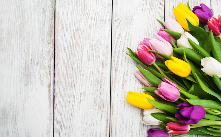 Foto lente tulp bloemen