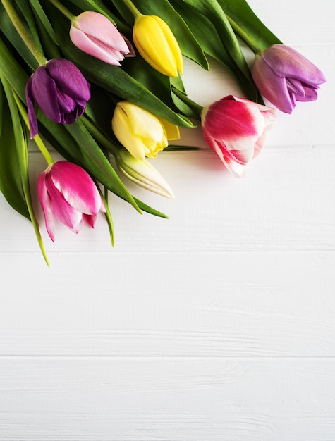 Lente tulpen bloemen