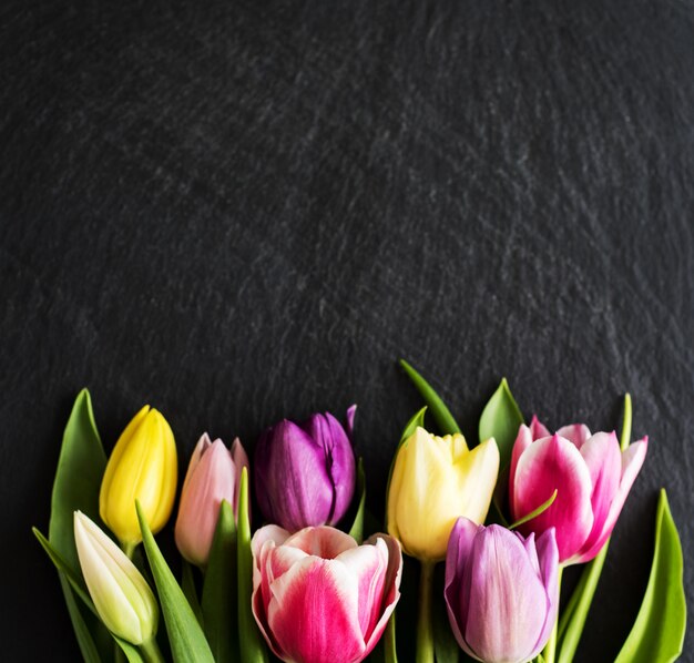 Lente tulpen bloemen