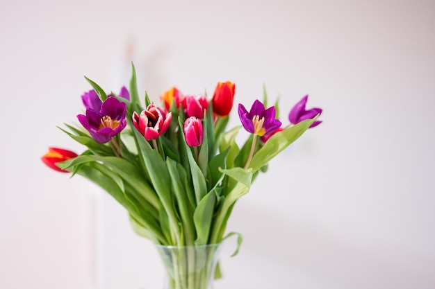 Lente tulpenboeket Vakantie decor met bloemen kleurrijke tulpen