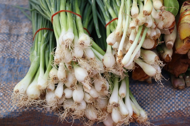 Lente-ui bloem op de markt