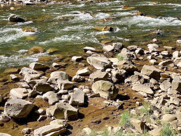 Lente uitzicht op de stromende Prut rivier in Yaremche in de Karpaten regio in Oekraïne Selectieve focus