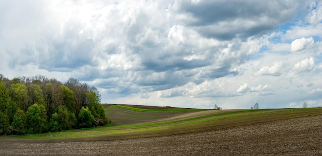 Lente velden gekleurde lijnen en heuvels in de buurt van het bos onder een prachtige lucht met contrasterende wolken Het concept van landbouw in de lente