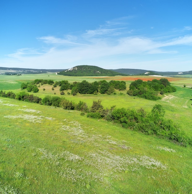 Foto lente weide panorama