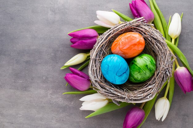 Lente wenskaart. Paaseieren in het nest. Lente bloemen tulpen.