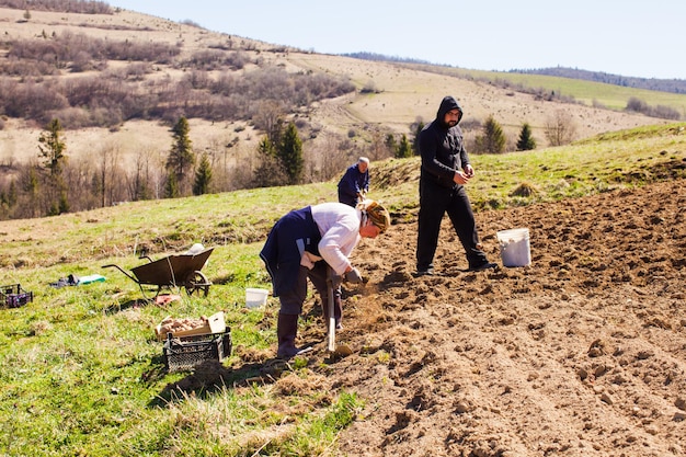 Foto lente werkt op een boerderij familie werkt aan hun land aardappelen poten familie boerderij concept