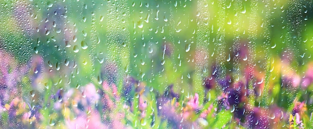 lente wilde bloemen regen druppels abstracte achtergrond