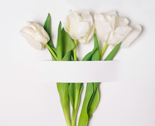 Foto lente witte bloemen op wit getextureerd papier met kopie ruimte voor uw tekst mock up met drie tulpen