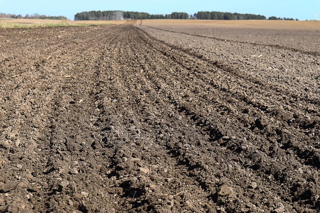 Lente zaait een geploegd veld tegen de achtergrond van een ver bos