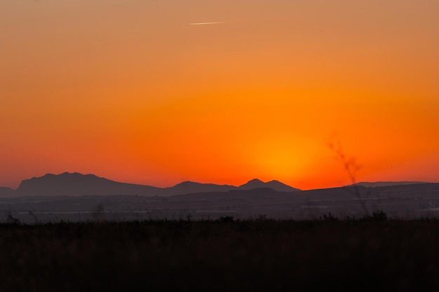 Lente zonsondergang over het veld