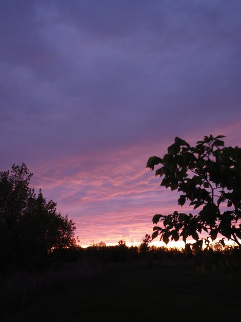 lente zonsondergang