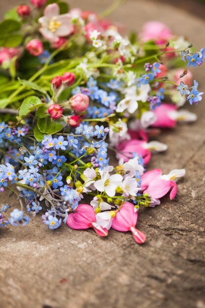 Lentebloemen close-up