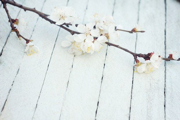 Lentebloemen op houten tafel achtergrond. Pruimenbloesem