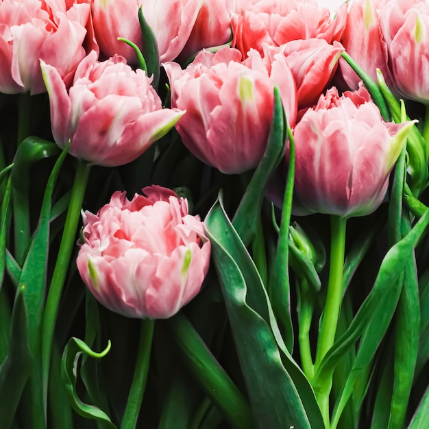 Lentebloemen op marmeren achtergrond als wenskaart voor vakantiegift en bloemen flatlay concept