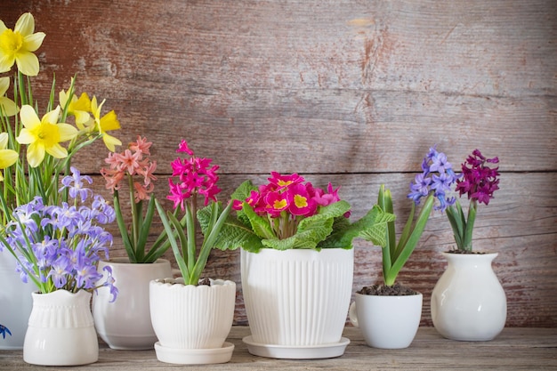 Lentebloemen op oude houten achtergrond