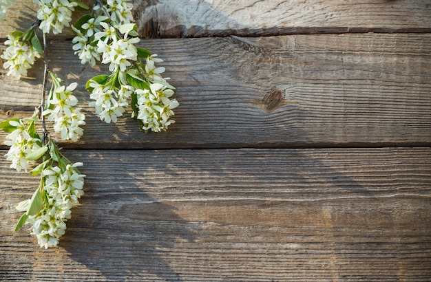 Lentebloemen op oude houten oppervlak