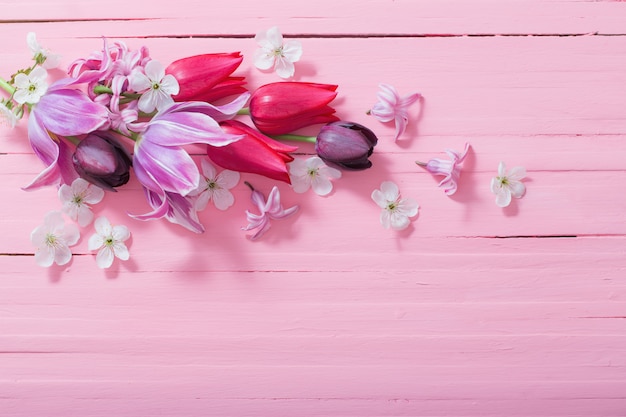 Lentebloemen op roze houten achtergrond