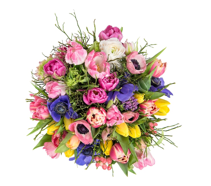 Foto lentebloemen tulip ranunculus anemone mooi boeket geïsoleerd op witte achtergrond