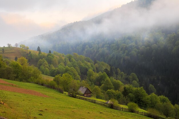 Foto lentelandschap in de karpaten