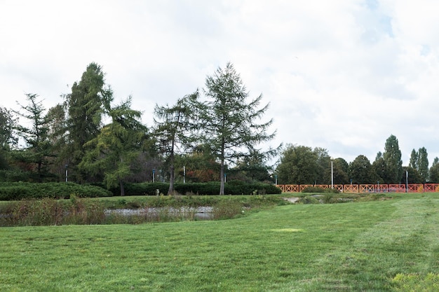 Lentelandschap in een groen bosgebied