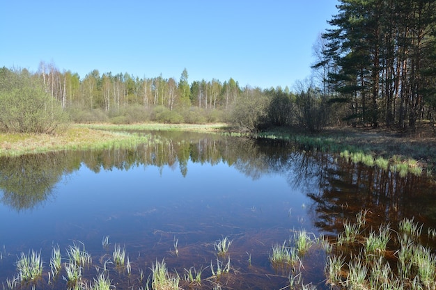 Lenteochtend op de rivier