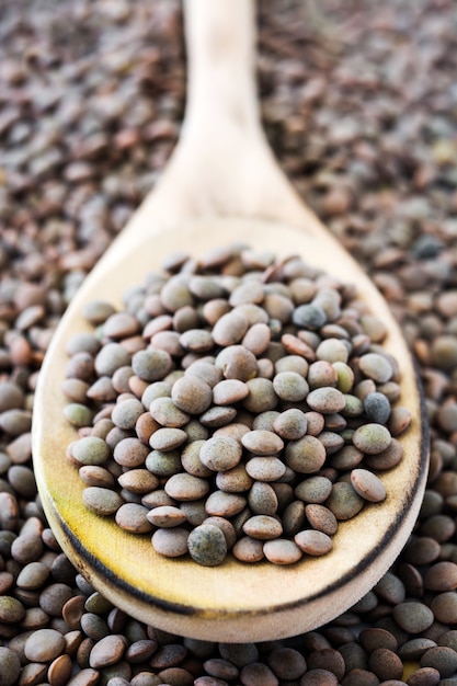 Lentils grain on wooden spoon