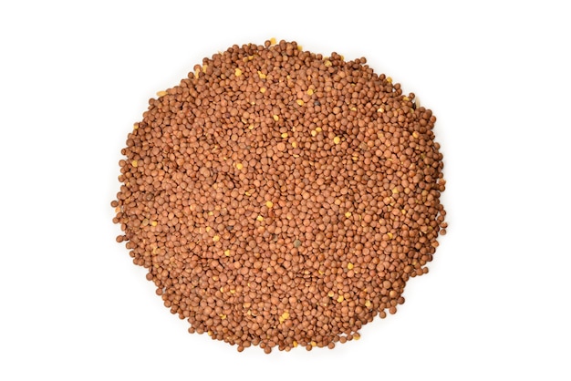 Lentils isolated on white