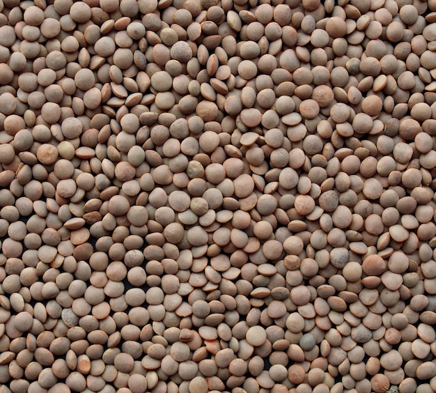 Lentils picture