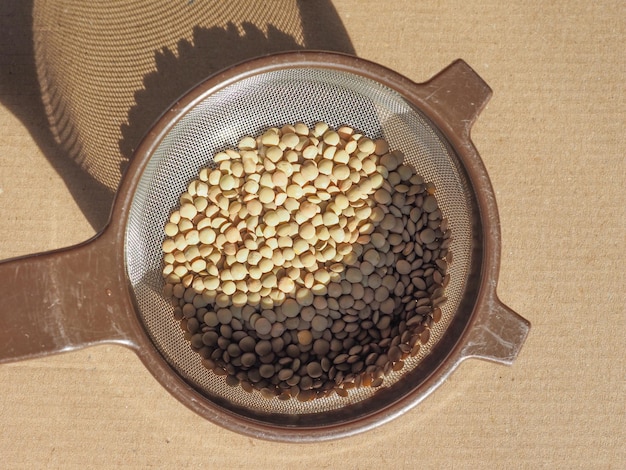 Lentils pulse legumes food in colander