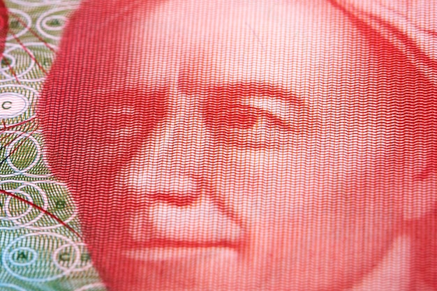 Портрет Леонарда Эйлера вблизи из швейцарского денежного франка