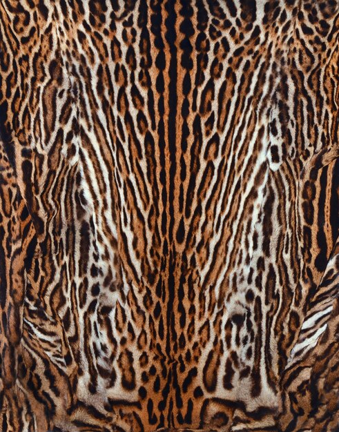 Foto trama di pelliccia di leopardo