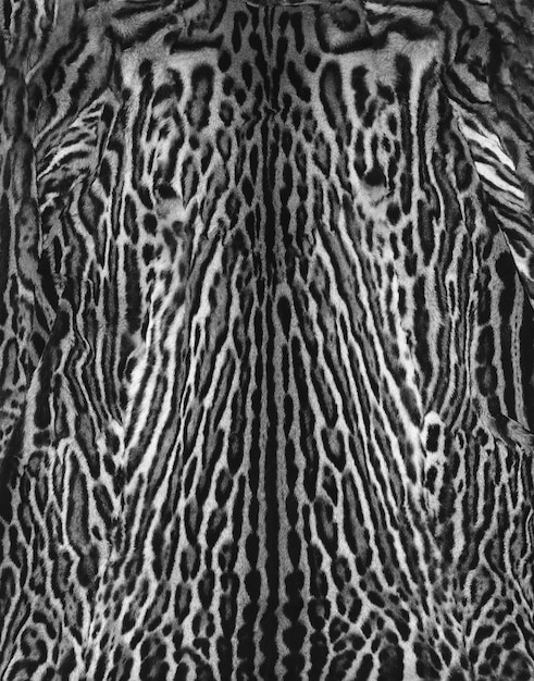 Photo leopard fur texture