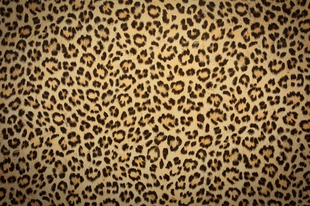 Photo leopard skin background texture, real fur retro design, close-up wild animail hair modern beauty in nature