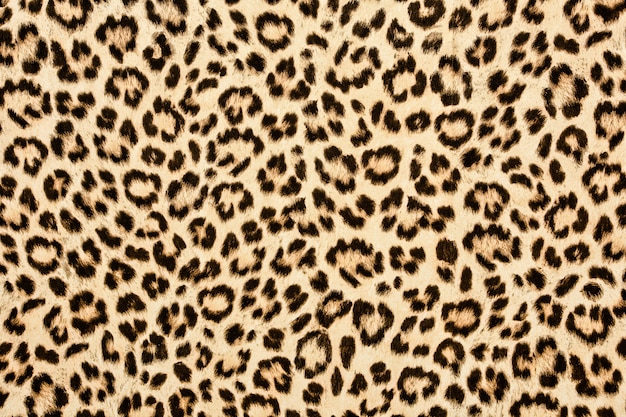 Photo leopard skin texture