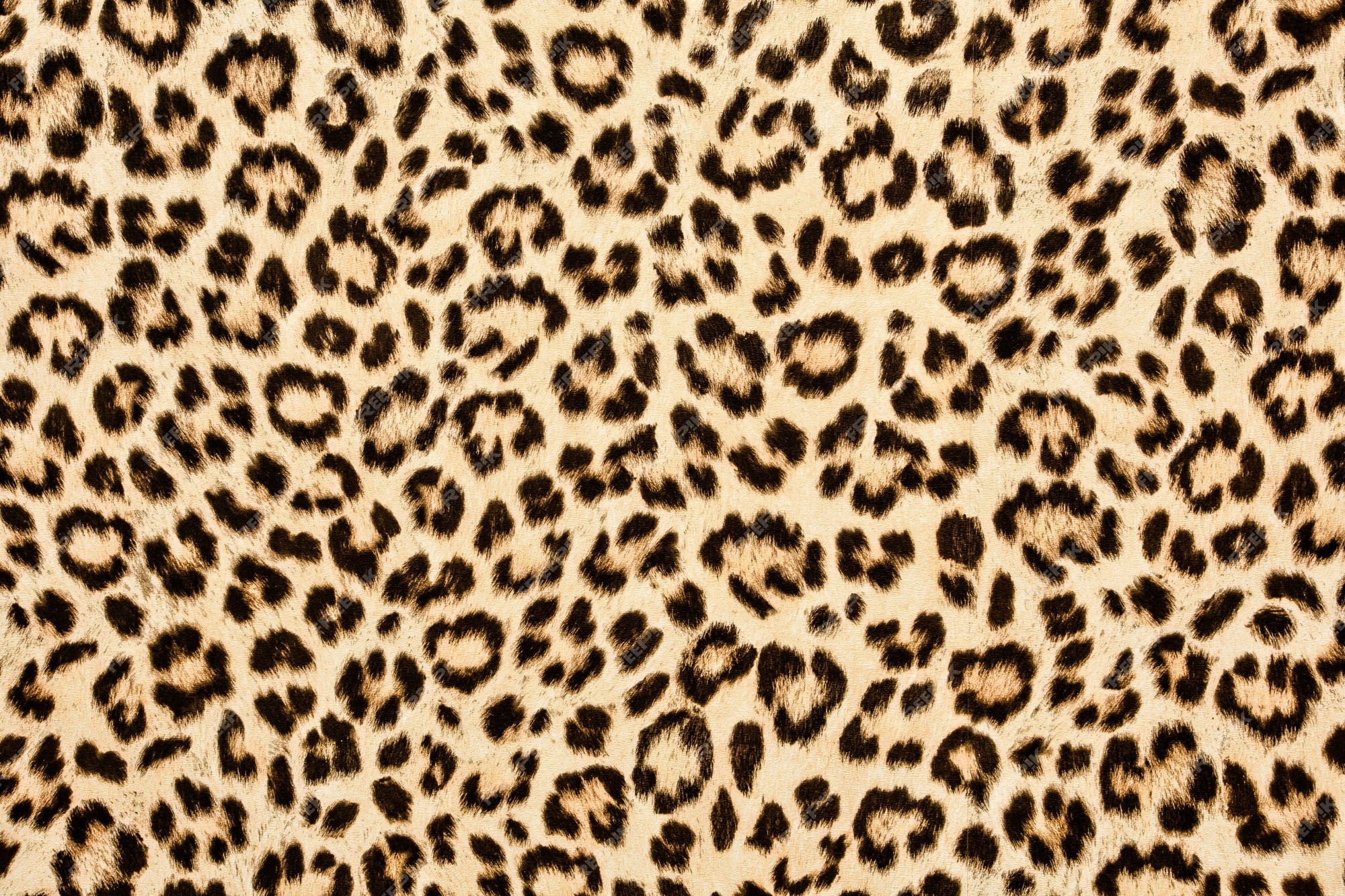 leopard print pattern