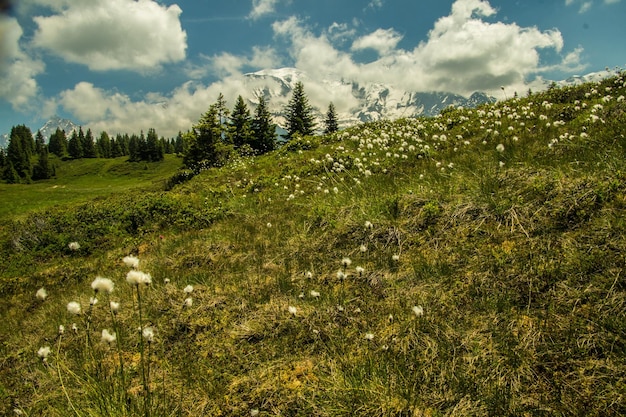 Foto les houches in haute savoie in francia