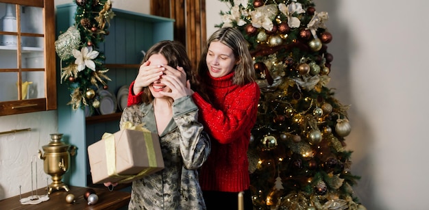 Lesbian couple together indoors cheerfully communicate, preparing for celebration of Christmas.