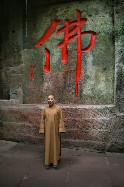 Leshan Giant Buddha and Surrounding Scenic Spot