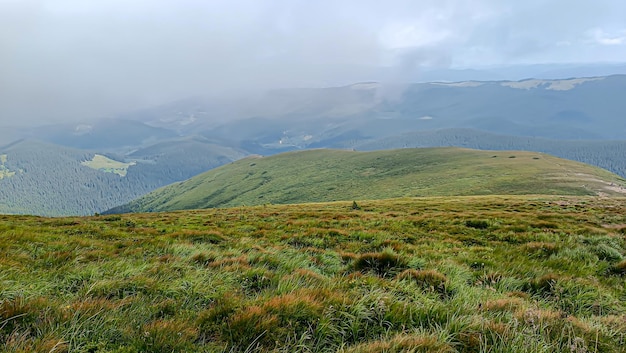 Let's go up the mountain Landscape with clouds pine trees and green grass Journey through forests mountains rivers selective focus