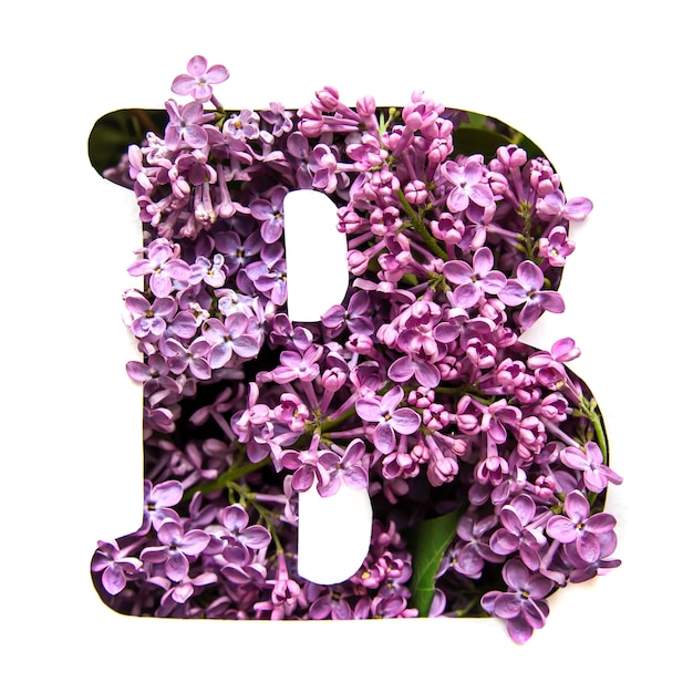 The letter B of the English alphabet from lilac