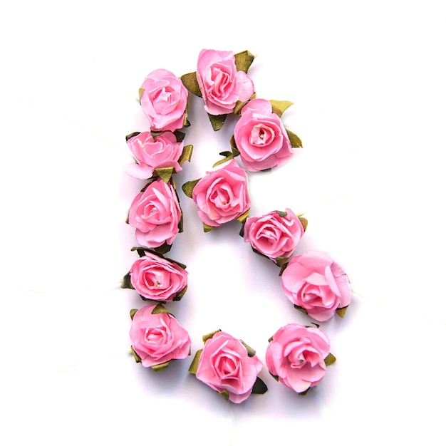 사진 흰색 표면에 핑크 장미의 영어 알파벳의 문자 b